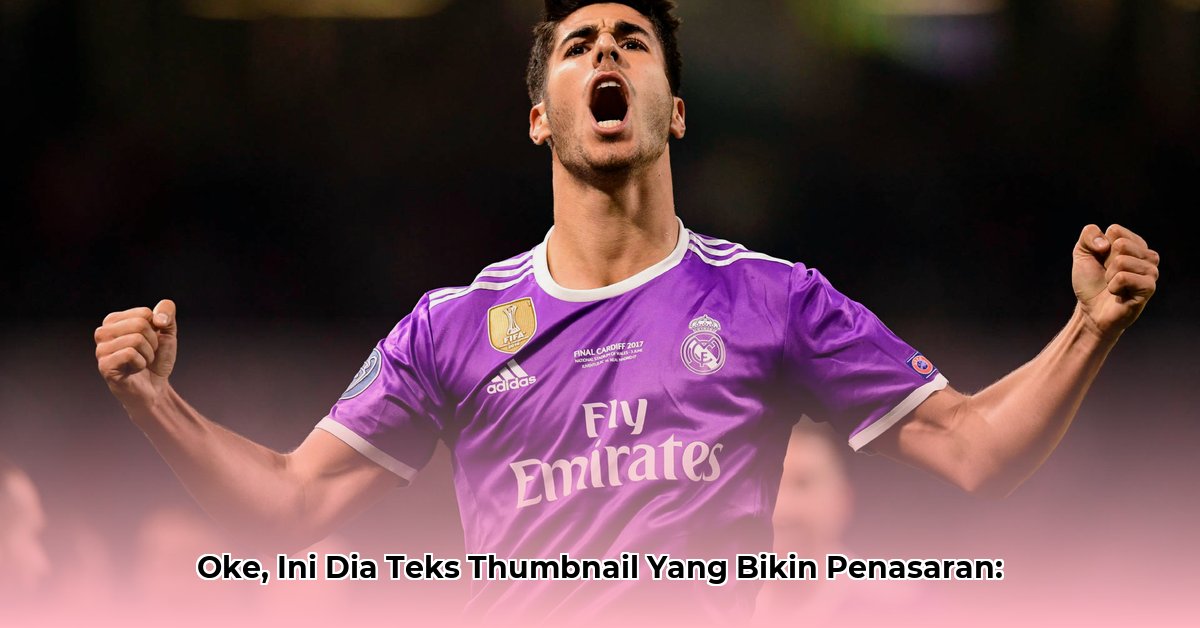 marco-gray-net-worth